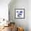 Radiant Bloom 1-Albert Koetsier-Framed Photographic Print displayed on a wall