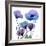 Radiant Bloom 1-Albert Koetsier-Framed Photographic Print