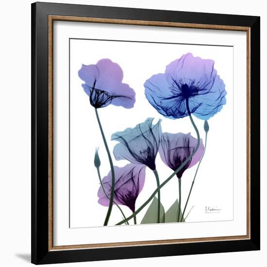 Radiant Bloom 1-Albert Koetsier-Framed Photographic Print