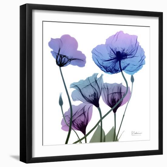 Radiant Bloom 1-Albert Koetsier-Framed Photographic Print