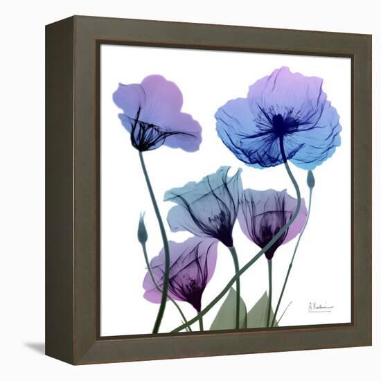 Radiant Bloom 1-Albert Koetsier-Framed Stretched Canvas