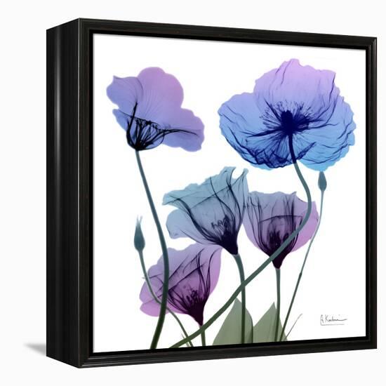 Radiant Bloom 1-Albert Koetsier-Framed Stretched Canvas