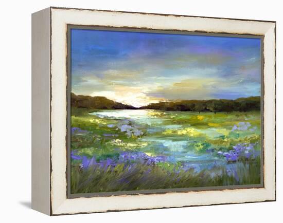 Radiant Evening-Sheila Finch-Framed Stretched Canvas