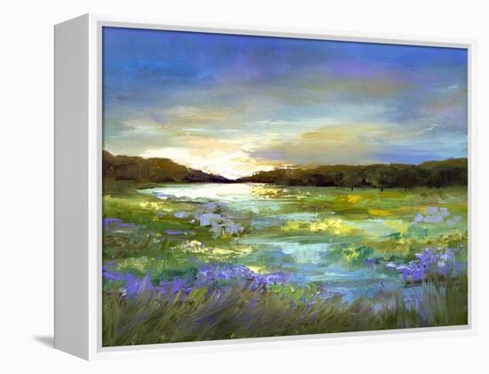 Radiant Evening-Sheila Finch-Framed Stretched Canvas