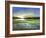 Radiant Evening-Sheila Finch-Framed Art Print