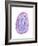 Radiant Geode I-Naomi McCavitt-Framed Art Print