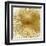 Radiant Gold-Abby Young-Framed Art Print