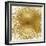 Radiant Gold-Abby Young-Framed Art Print