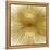 Radiant Gold-Abby Young-Framed Stretched Canvas