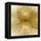 Radiant Gold-Abby Young-Framed Stretched Canvas