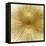 Radiant Gold-Abby Young-Framed Stretched Canvas