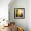 Radiant Light II-Tom Frazier-Framed Giclee Print displayed on a wall