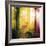 Radiant Light II-Tom Frazier-Framed Giclee Print
