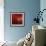 Radiant Redbird-Jai Johnson-Framed Giclee Print displayed on a wall