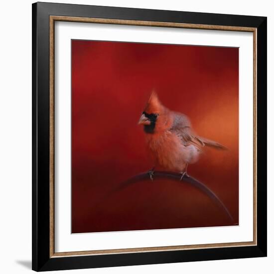 Radiant Redbird-Jai Johnson-Framed Giclee Print