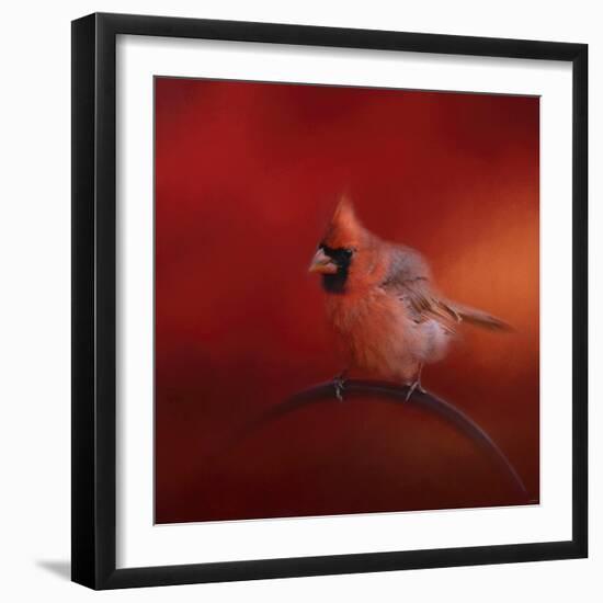 Radiant Redbird-Jai Johnson-Framed Giclee Print