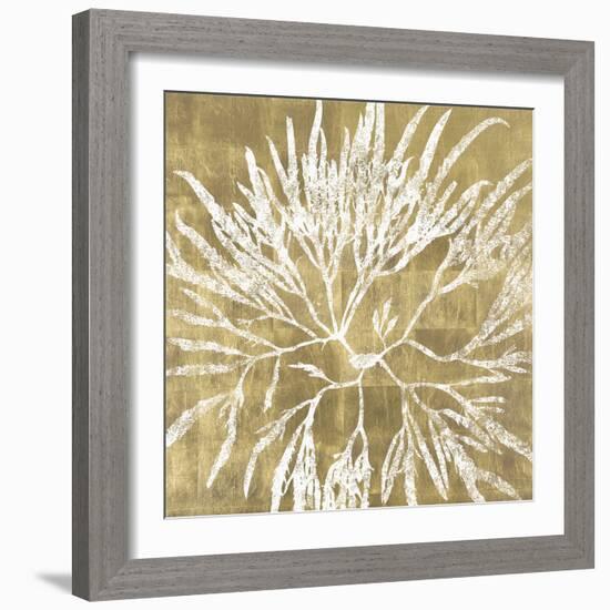 Radiant Reef I-Maria Mendez-Framed Giclee Print