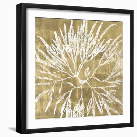 Radiant Reef I-Maria Mendez-Framed Giclee Print