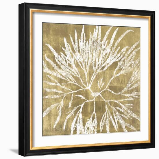 Radiant Reef I-Maria Mendez-Framed Giclee Print