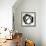 Radiant Round I-Studio W-Framed Art Print displayed on a wall