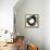 Radiant Round II-Studio W-Framed Stretched Canvas displayed on a wall