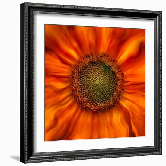 Radiant Warmth-Ursula Abresch-Framed Photographic Print