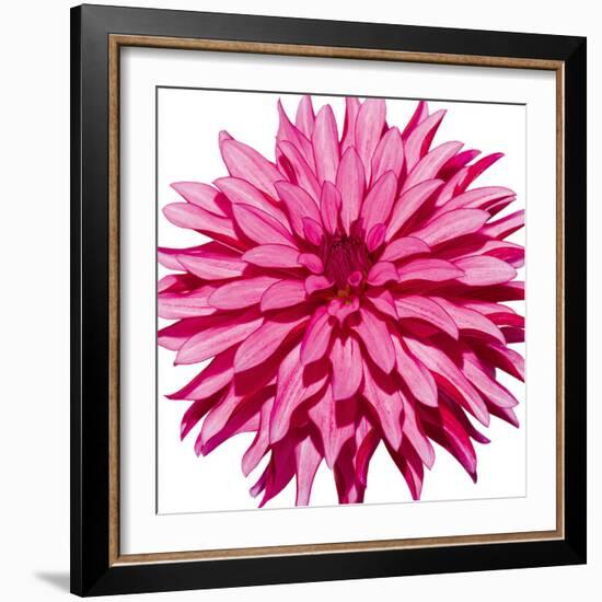 Radiant-Joseph Eta-Framed Giclee Print