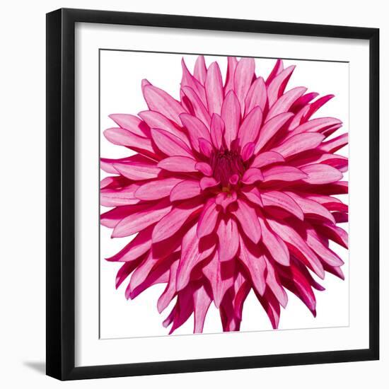 Radiant-Joseph Eta-Framed Giclee Print