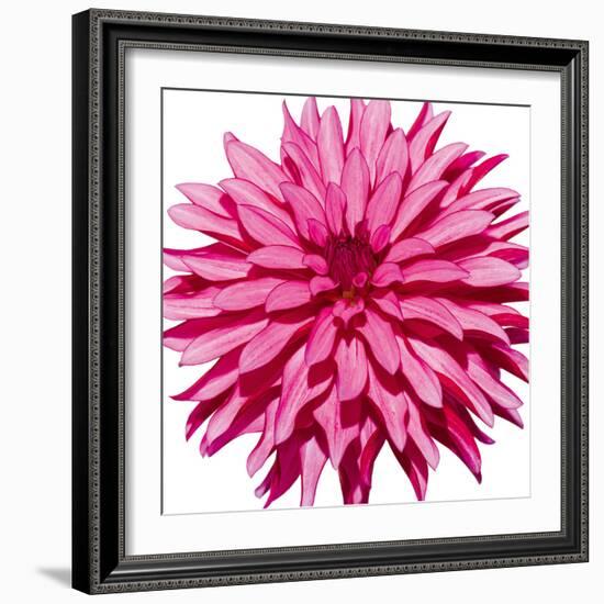 Radiant-Joseph Eta-Framed Giclee Print