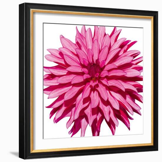 Radiant-Joseph Eta-Framed Giclee Print