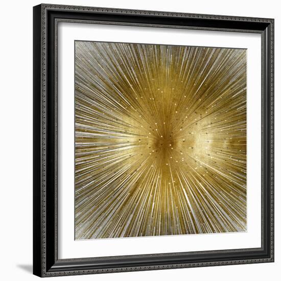 Radiant-Abby Young-Framed Art Print