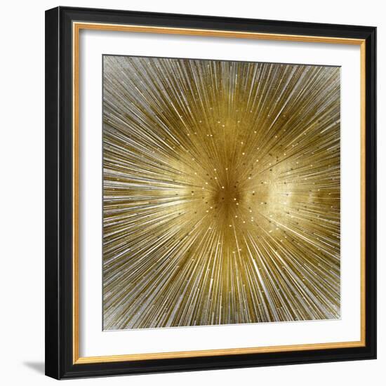 Radiant-Abby Young-Framed Art Print