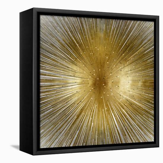 Radiant-Abby Young-Framed Stretched Canvas