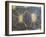 Radiated Tortoise Shell, Berenty Reserve, Madagascar-Edwin Giesbers-Framed Photographic Print