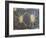 Radiated Tortoise Shell, Berenty Reserve, Madagascar-Edwin Giesbers-Framed Photographic Print