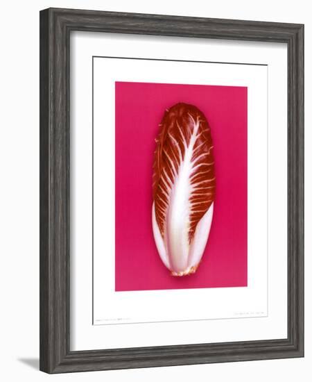 Radicchio, 2001-Kit-Framed Art Print