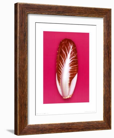 Radicchio, 2001-Kit-Framed Art Print