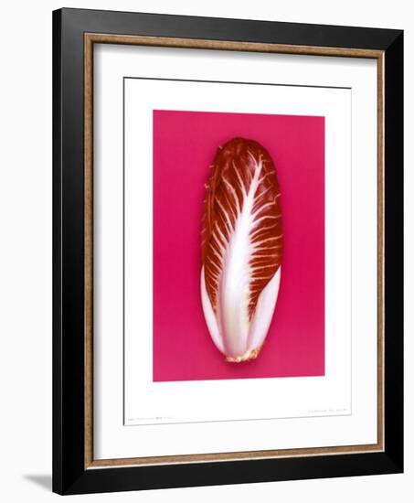 Radicchio, 2001-Kit-Framed Art Print