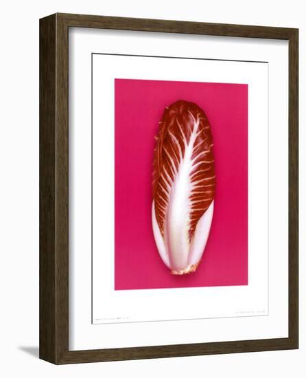 Radicchio, 2001-Kit-Framed Art Print