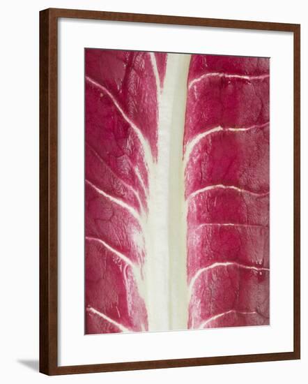 Radicchio Leaf-null-Framed Photographic Print