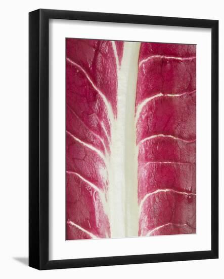 Radicchio Leaf-null-Framed Photographic Print