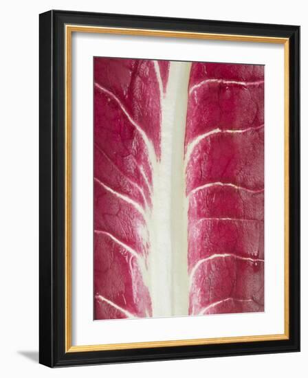 Radicchio Leaf-null-Framed Photographic Print