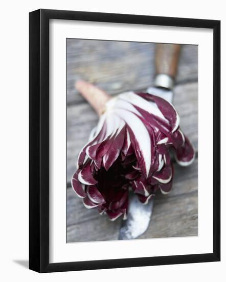 Radicchio Trevisano on a Knife-Marc O^ Finley-Framed Photographic Print