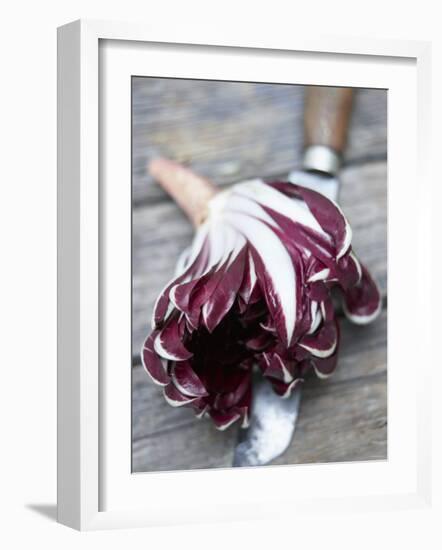 Radicchio Trevisano on a Knife-Marc O^ Finley-Framed Photographic Print