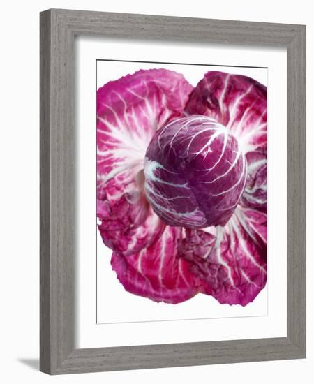 Radicchio-Andreas Wegelin-Framed Photographic Print