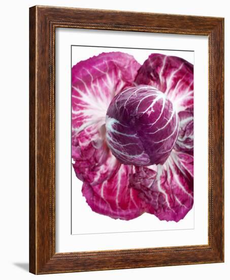 Radicchio-Andreas Wegelin-Framed Photographic Print