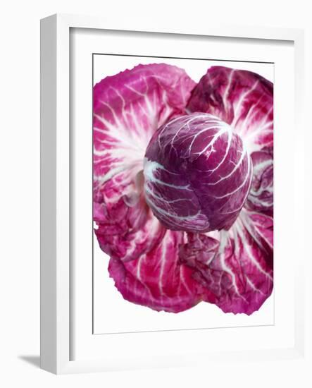 Radicchio-Andreas Wegelin-Framed Photographic Print