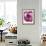 Radicchio-Andreas Wegelin-Framed Photographic Print displayed on a wall