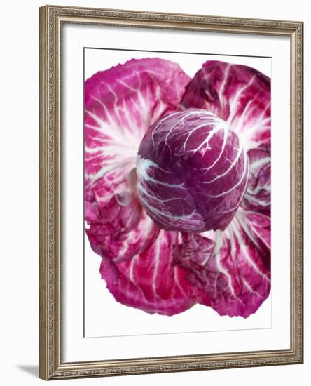 Radicchio-Andreas Wegelin-Framed Photographic Print