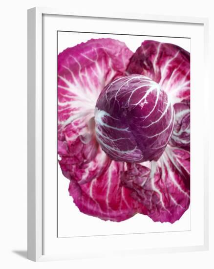 Radicchio-Andreas Wegelin-Framed Photographic Print